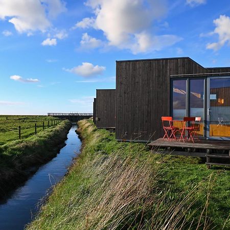 Tiny House Nature 9 Zur Kuhweide - Green Tiny Village Harlesiel Carolinensiel Exterior foto