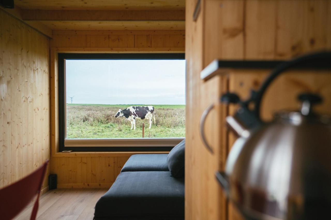 Tiny House Nature 9 Zur Kuhweide - Green Tiny Village Harlesiel Carolinensiel Exterior foto
